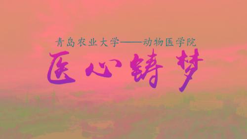 医心铸梦--2018年williamhill中国教学科研宣传片